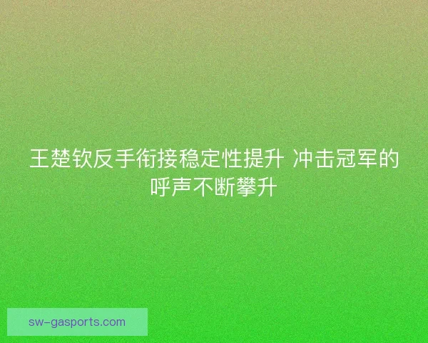 王楚钦反手衔接稳定性提升 冲击冠军的呼声不断攀升 王楚钦反手衔接稳定性提升 冲击冠军的呼声不断攀升