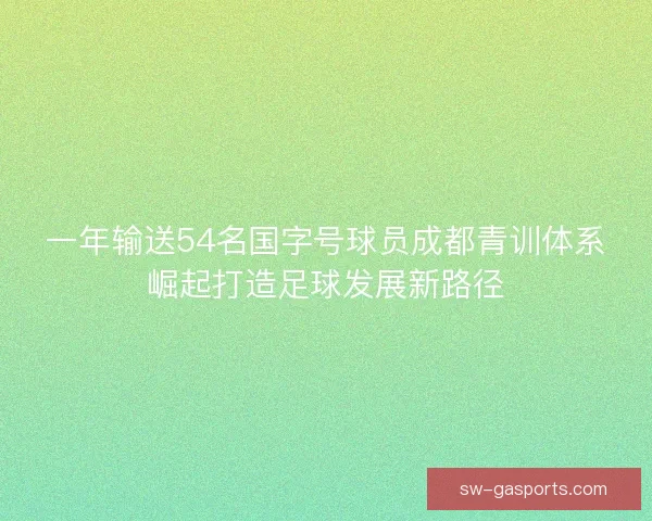 一年输送54名国字号球员成都青训体系崛起打造足球发展新路径 一年输送54名国字号球员成都青训体系崛起打造足球发展新路径